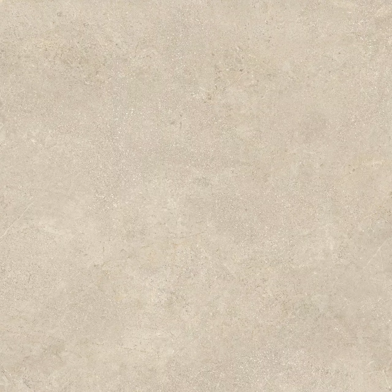 PALMIRA Veld PB04