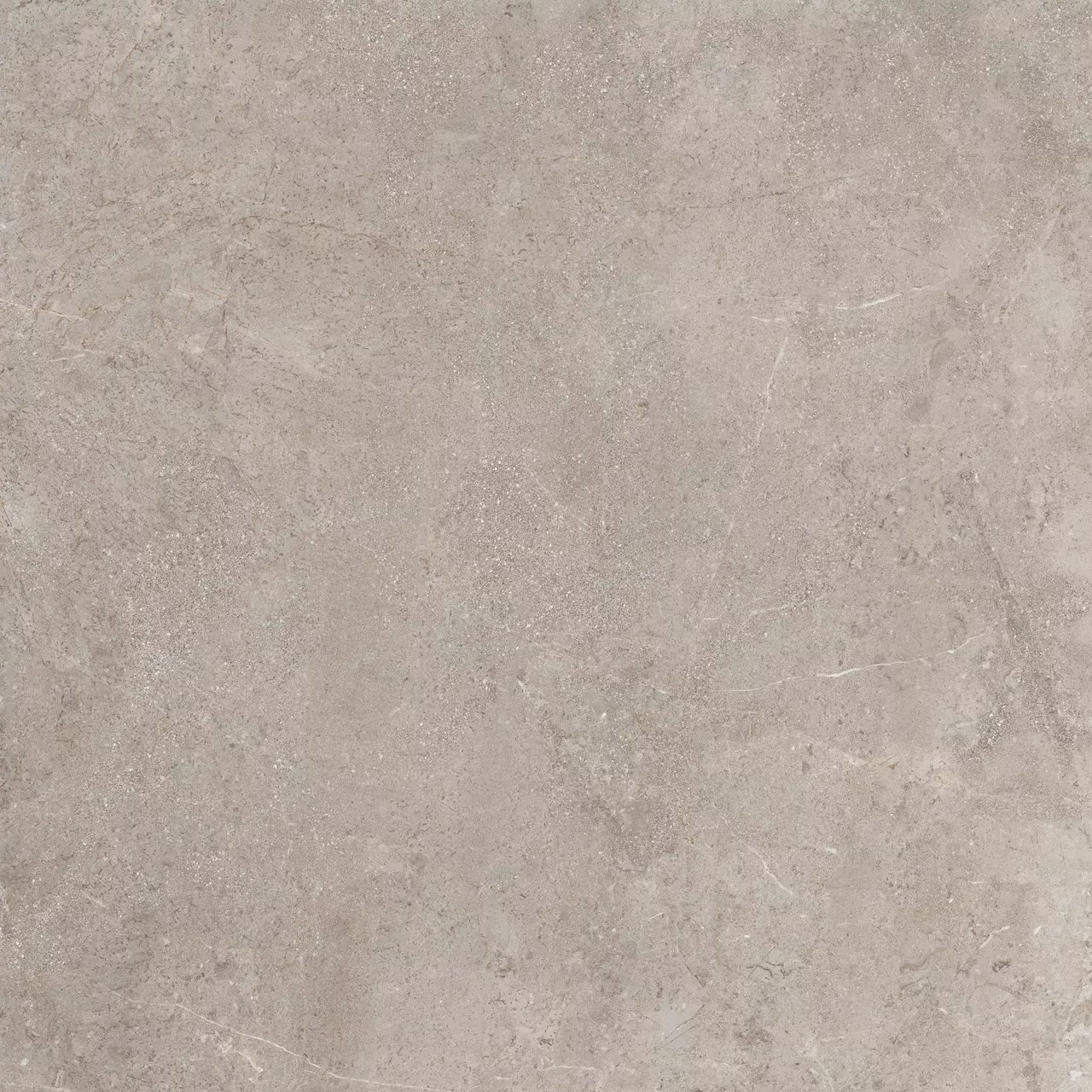 PALMIRA Cendra PB05